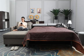 Living Room Solutions - Sectional Sofa bed GH002-G+BF
