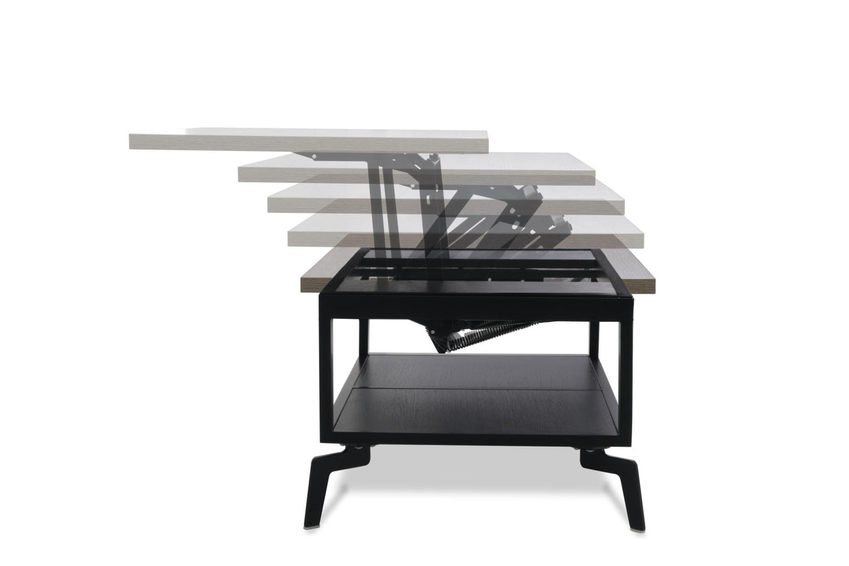 Versatile Coffee Table BC0023