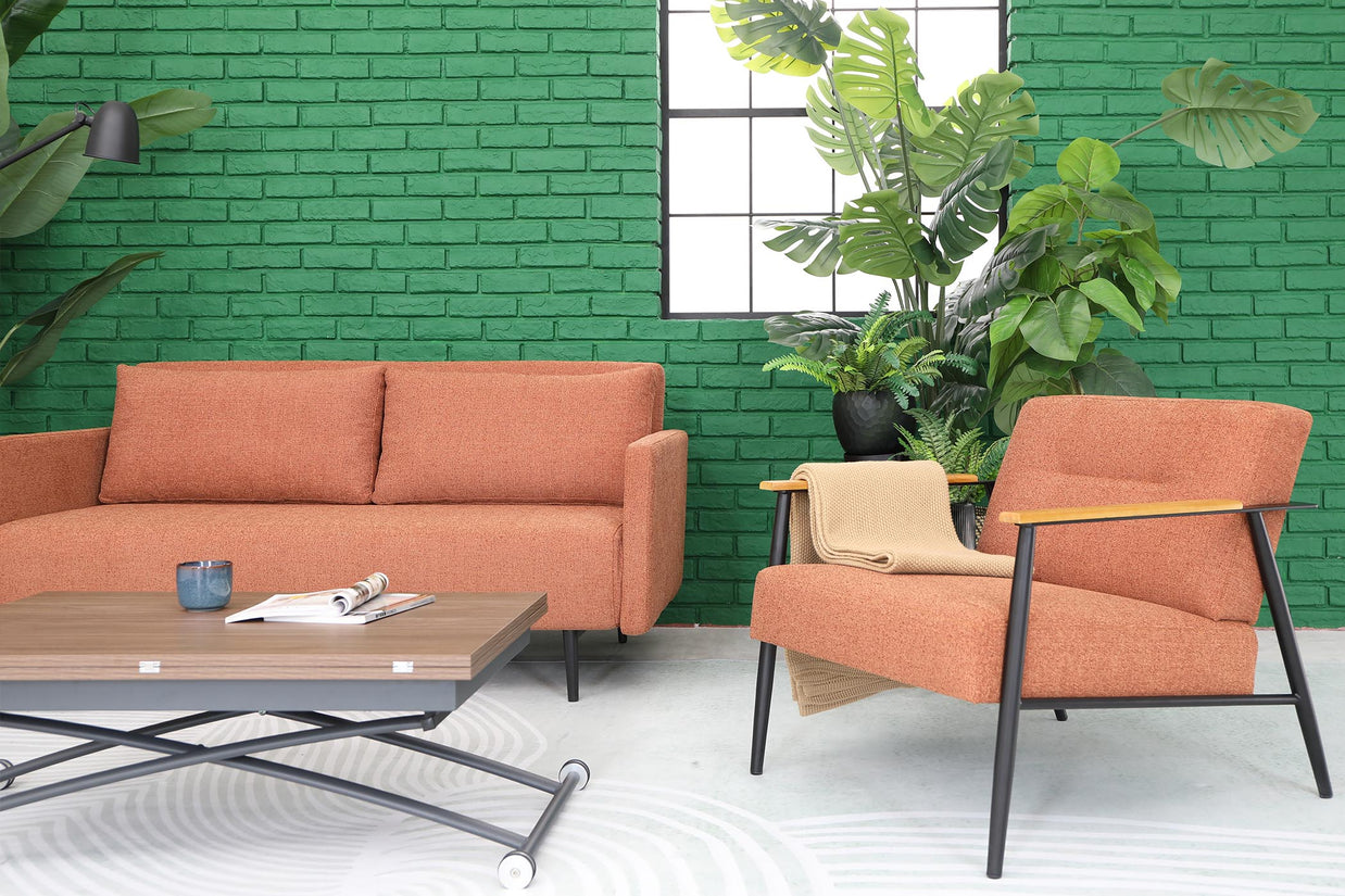 Lounge Chair SR017-M