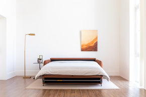 2 Seat Sofa Bed LK100-2