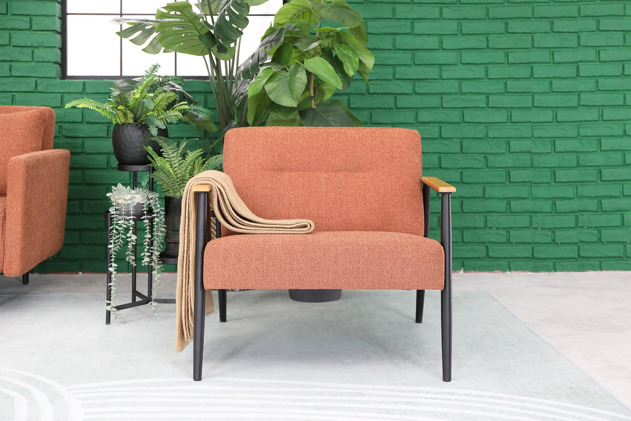 Lounge Chair SR017-M