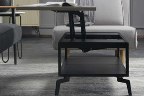 Versatile Coffee Table BC0023
