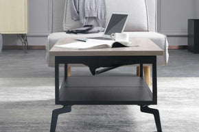 Versatile Coffee Table BC0023