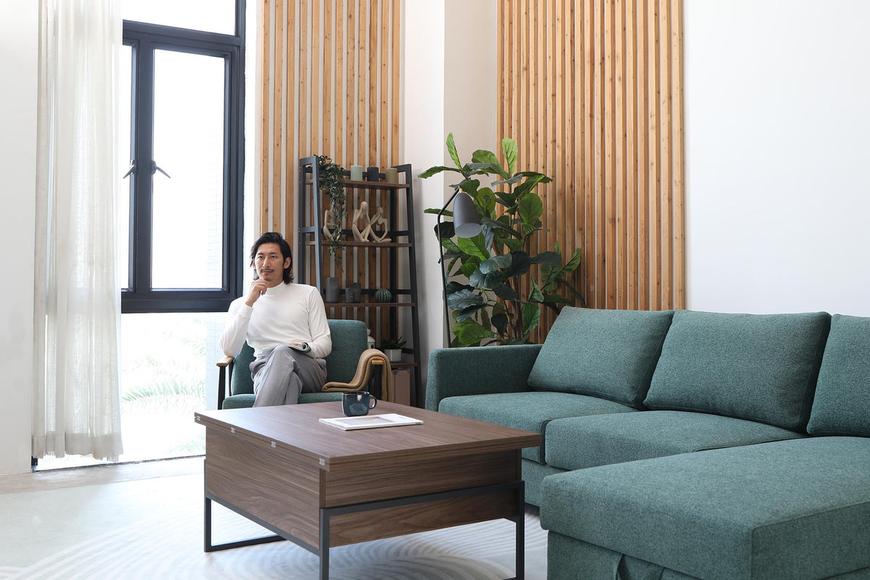 Lounge Chair SR017-M